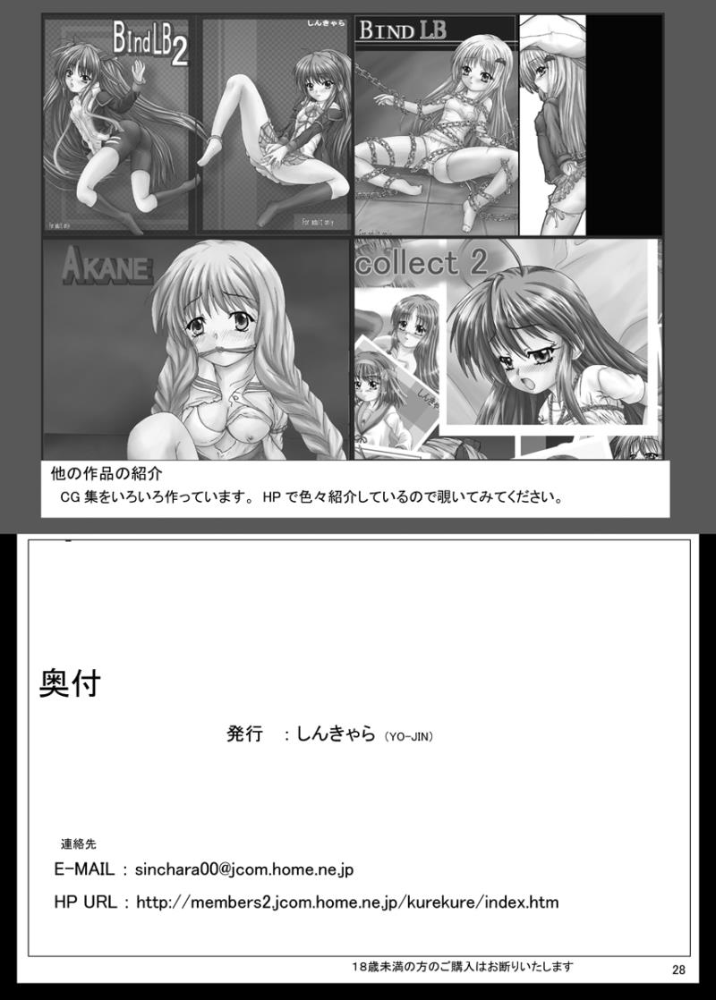 หน้า 29