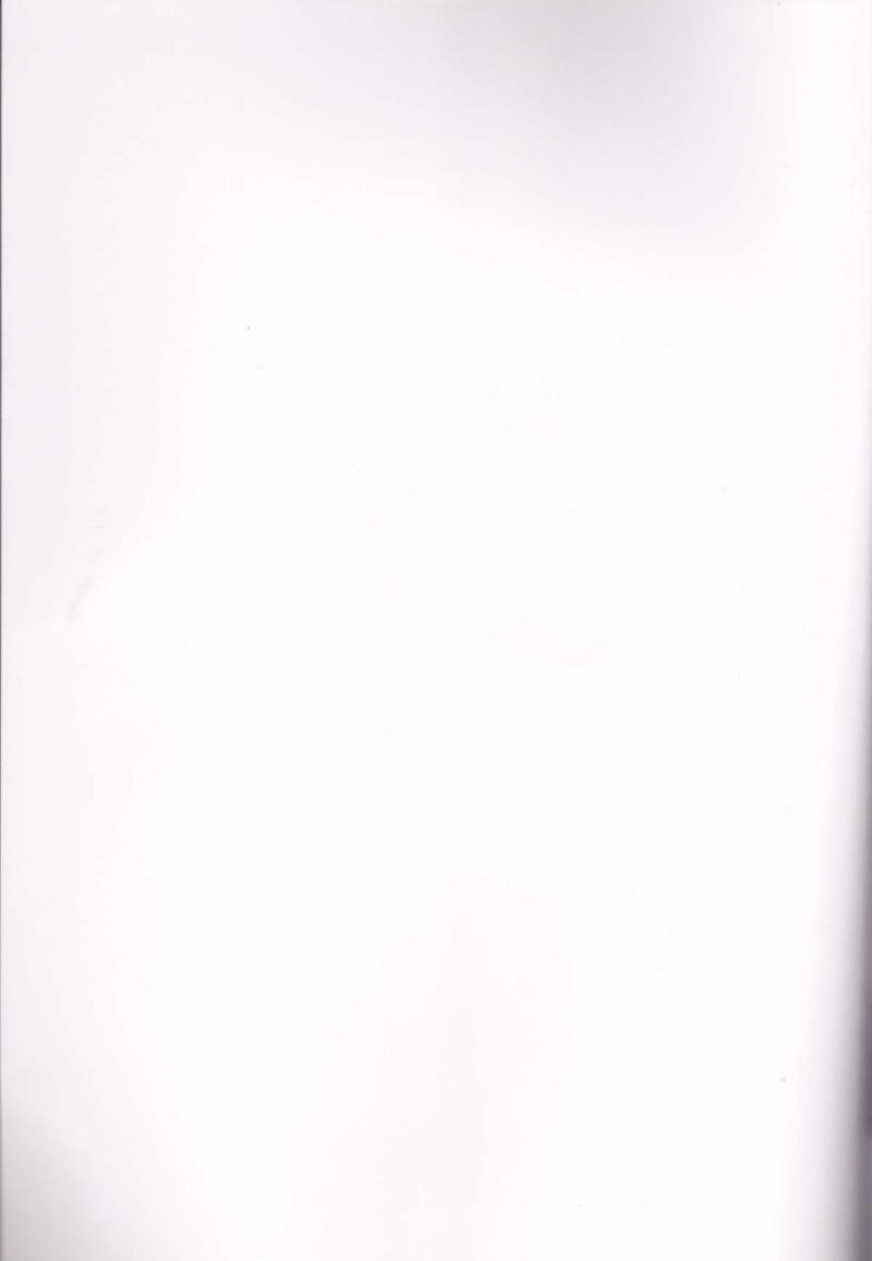 (SC37) [chigo dou (Yamaguchi Ugou)] Phantom Impulse (Mahou Shoujo Lyrical Nanoha)