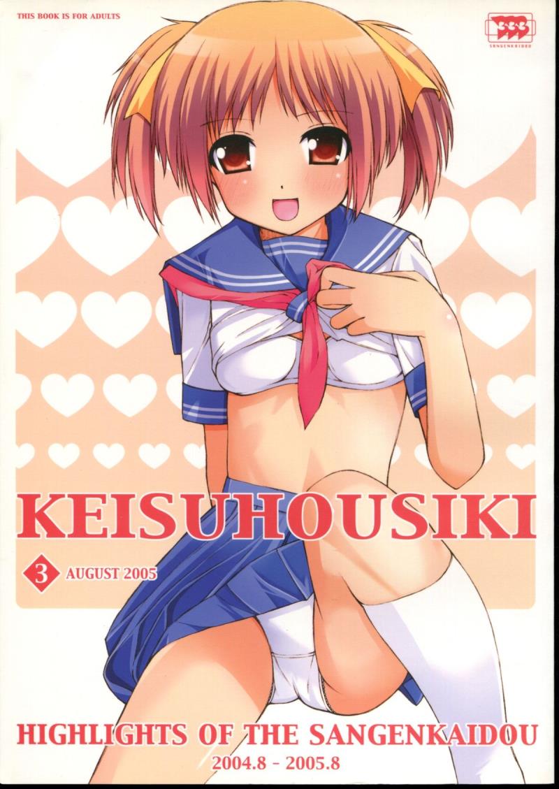 (C68) [SANGENKAIDOU (Mifune Yatsune)] KEISUHOUSIKI 3 (Various)