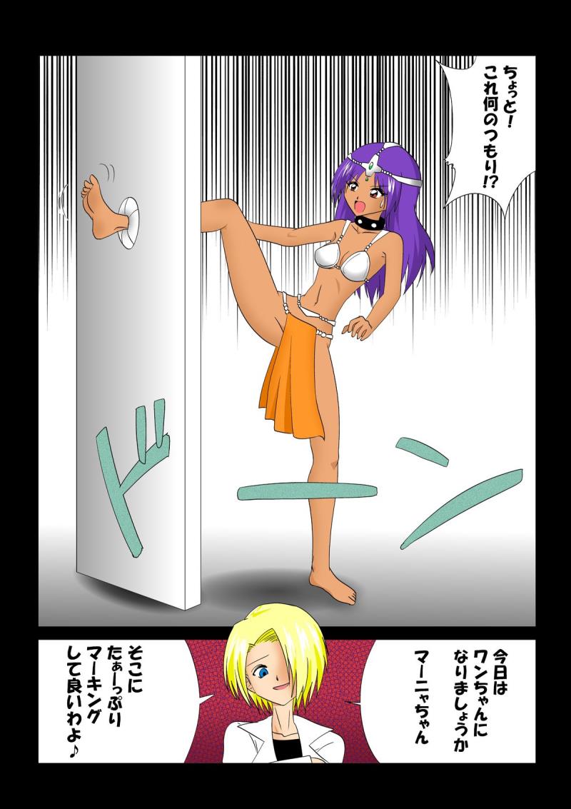[e] Marking (Dragon Quest IV, Dragon Quest VI) [Digital]