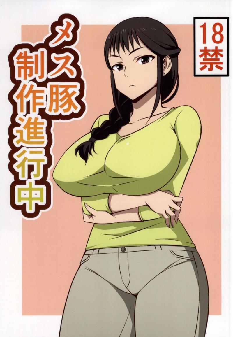 (COMIC1☆9) [Mattari House (Aitsu)] Mesu Buta Seisaku Shinkouchuu (SHIROBAKO)