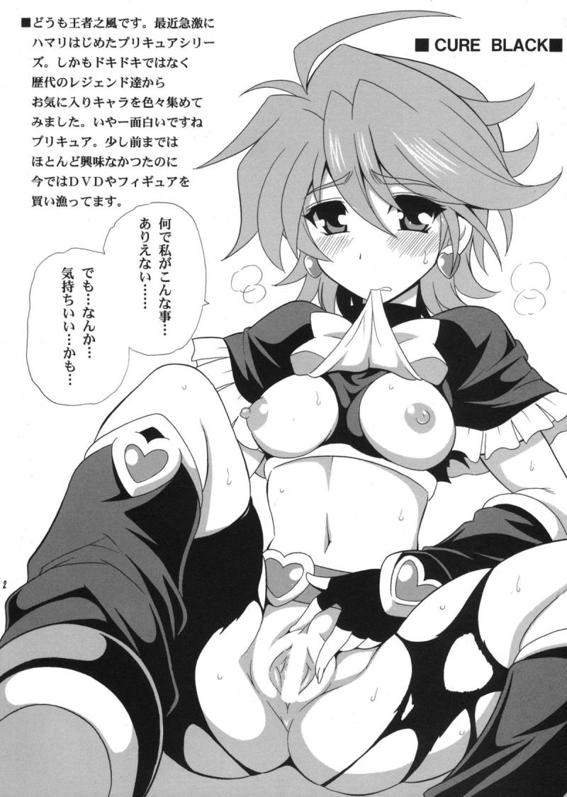 (SC61) [Leaz Koubou (Oujano Kaze)] PRETTY (Pretty Cure)