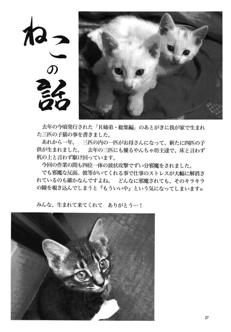 หน้า 28