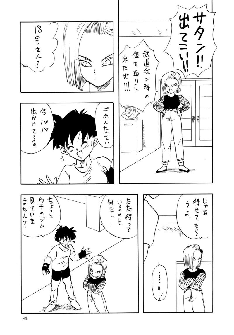 หน้า 33