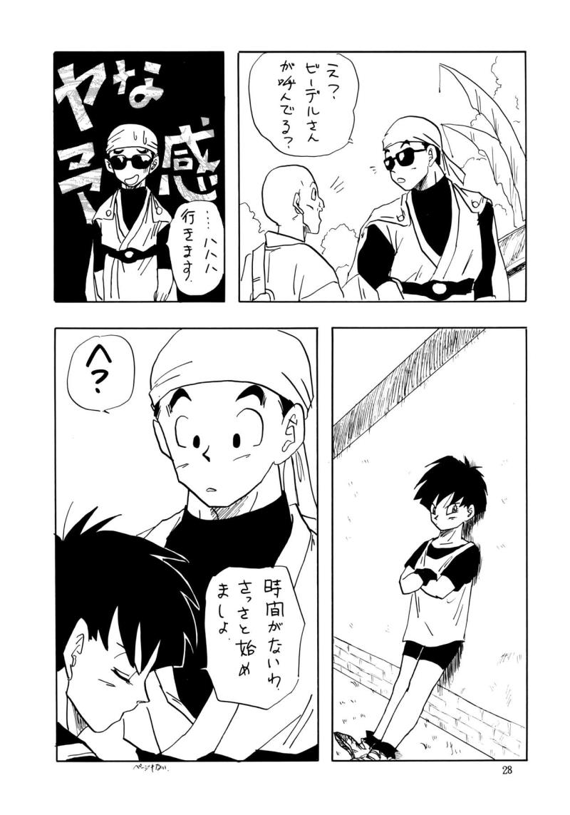 หน้า 28