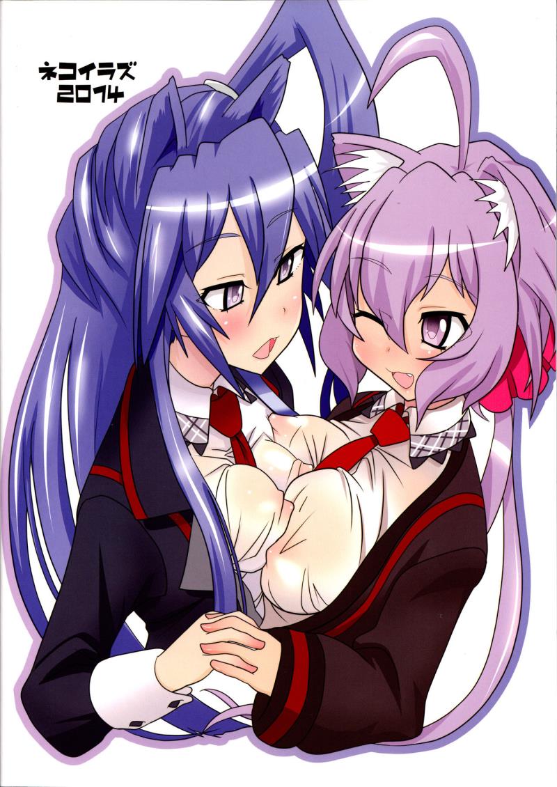 (C87) [Neko Irazu (Hinoki)] Flower (Senki Zesshou Symphogear) [Incomplete]
