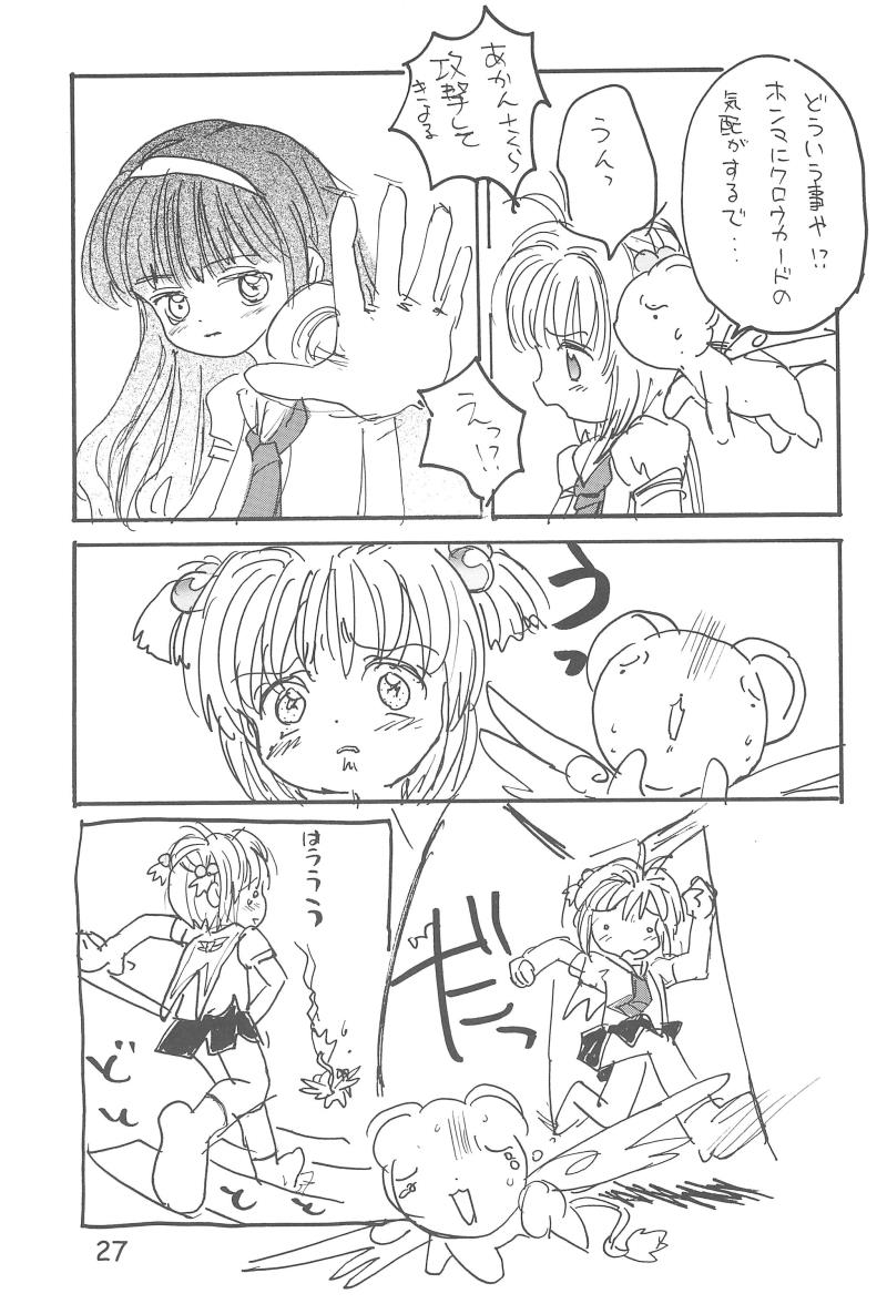 หน้า 29