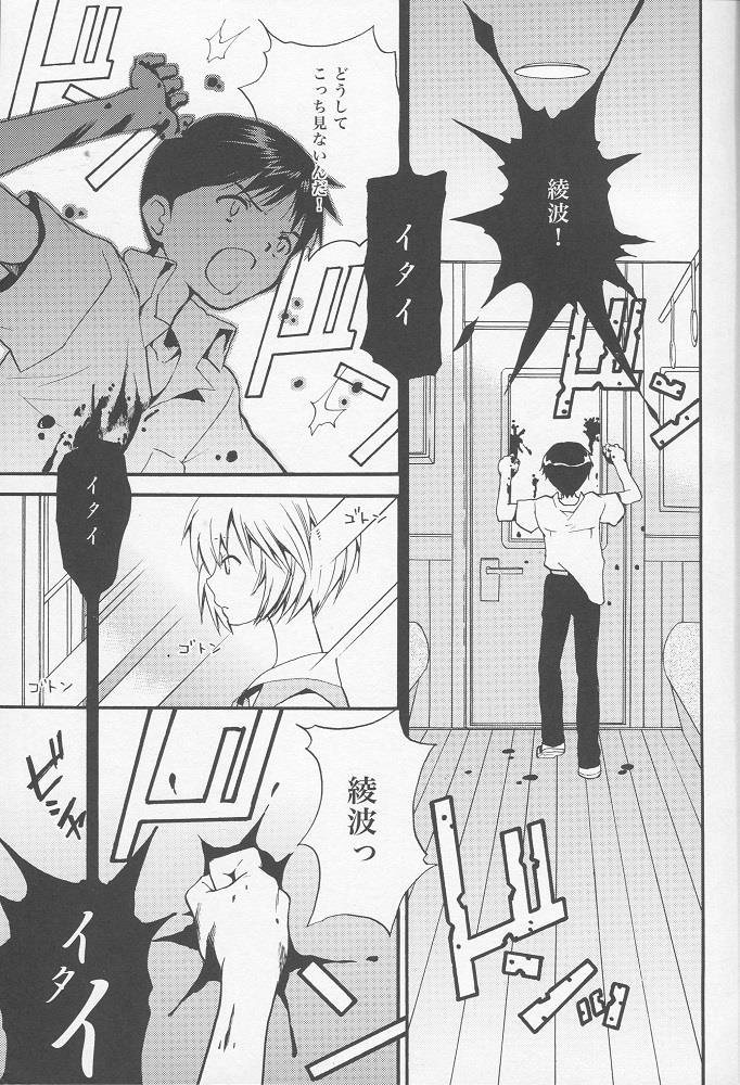 (C77) [RAYTREC (Fuyunagi Reku)] +PLUS (Neon Genesis Evangelion)