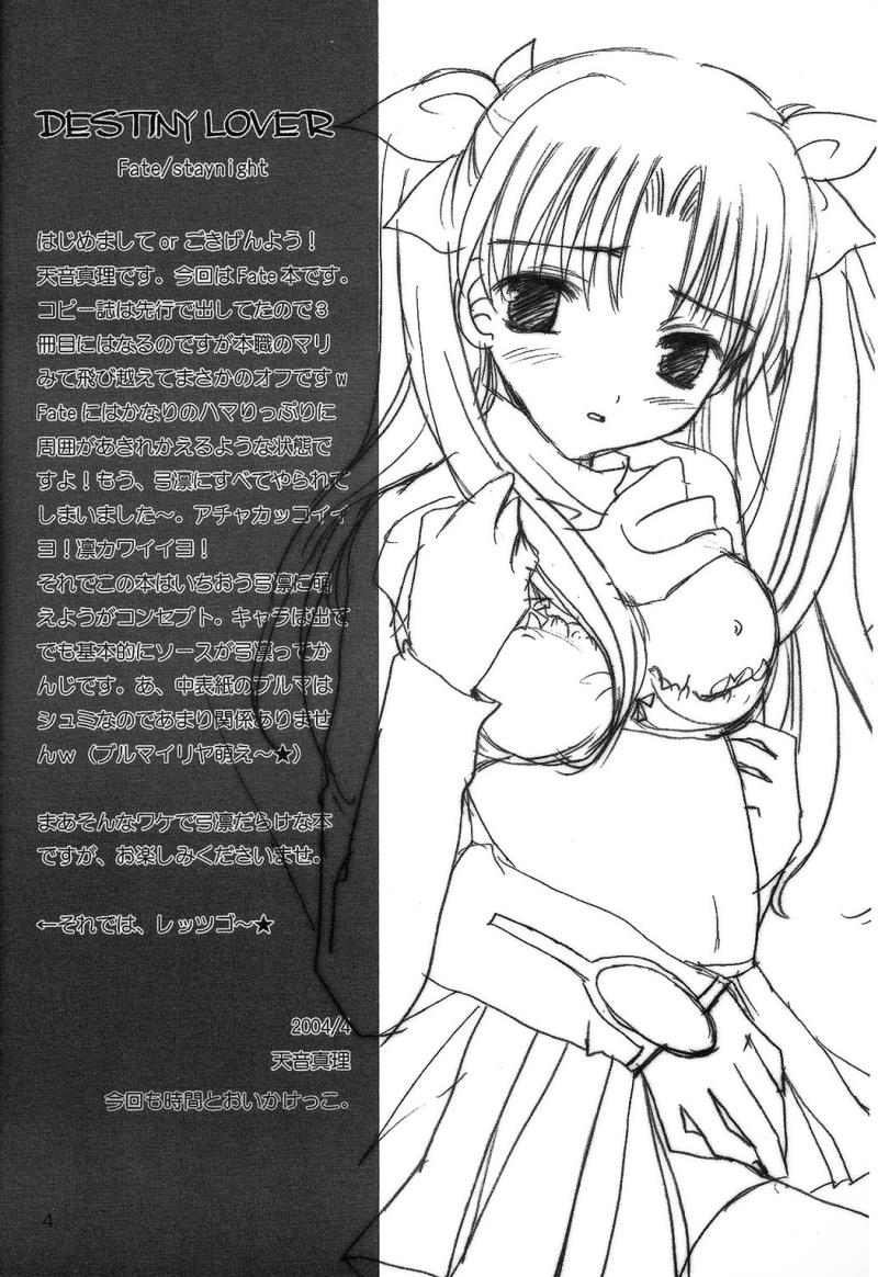 [LAST EDEN (Amane Mari)] DESTINY LOVER (Fate/stay night) [Chinese]