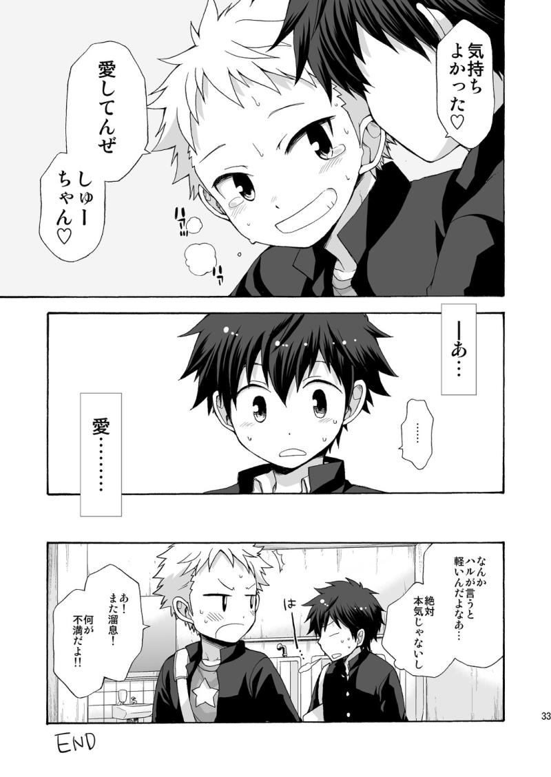 หน้า 33