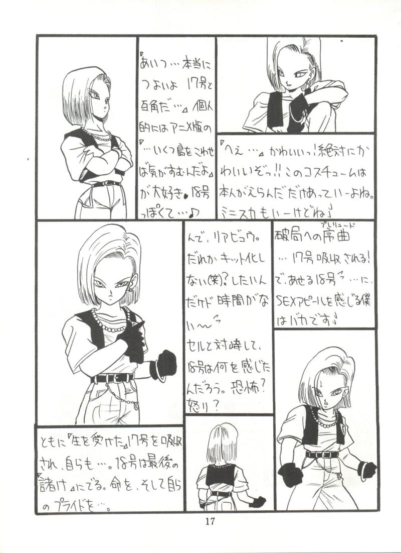 หน้า 17