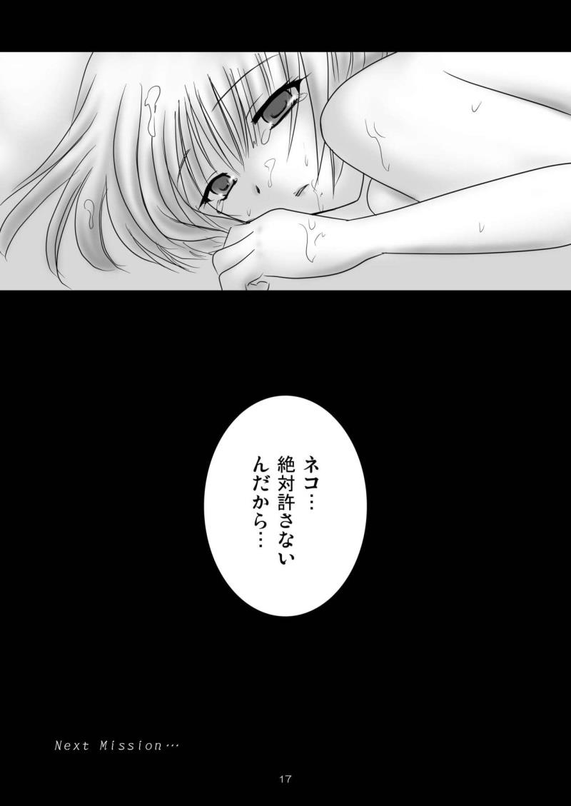 หน้า 16