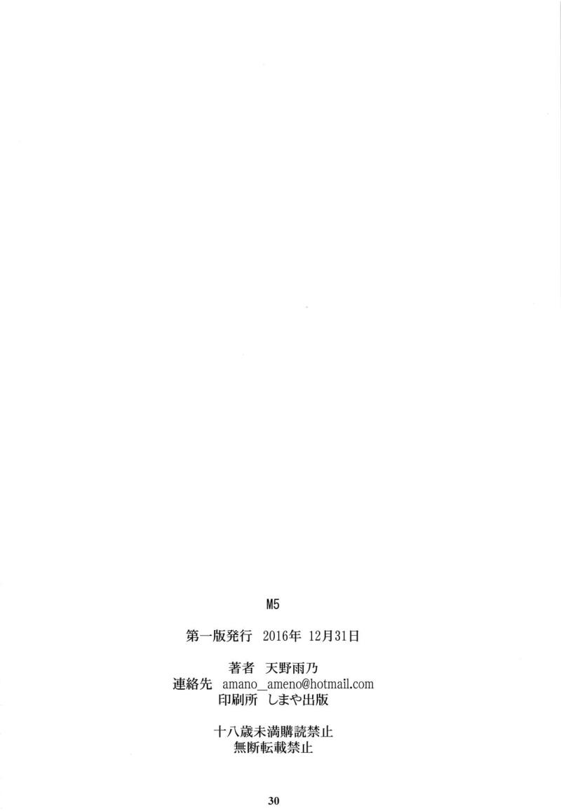 หน้า 29