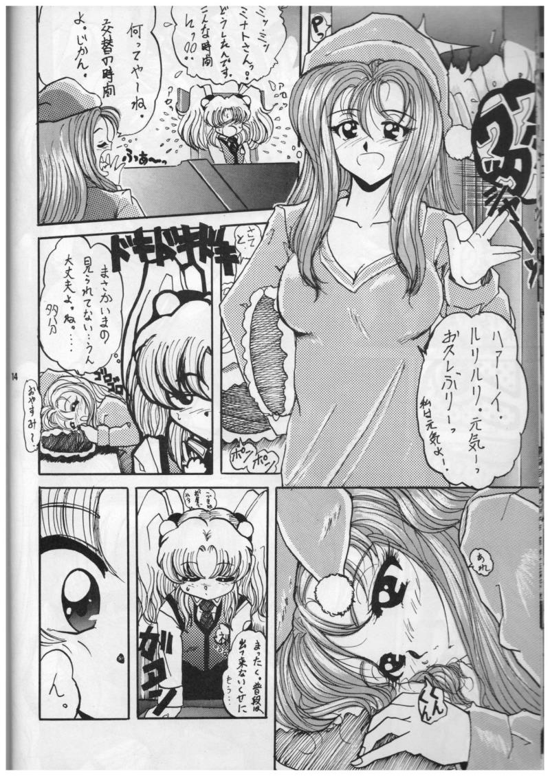หน้า 13