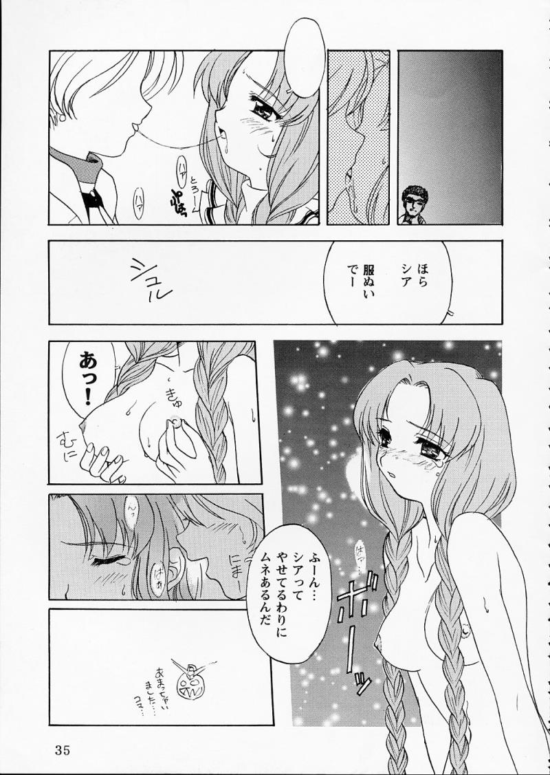 หน้า 33