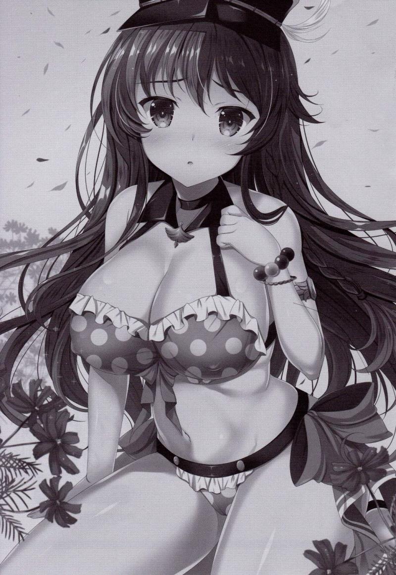 (C90) [THE FLYERS (Naruse Mamoru)]  Orderly Cage (Granblue Fantasy)