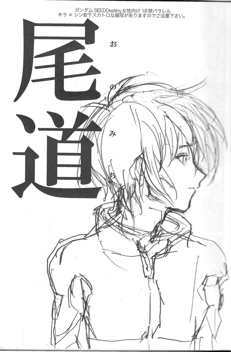 (SPARK3) [NEO-de (Natsusaka)] Onomichi (Gundam Seed Destiny)