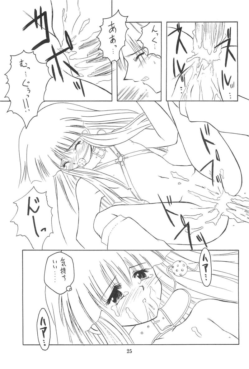 หน้า 25
