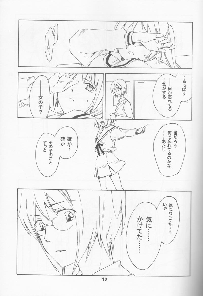 หน้า 17