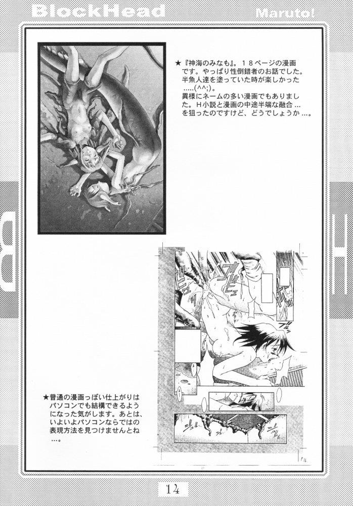 หน้า 13