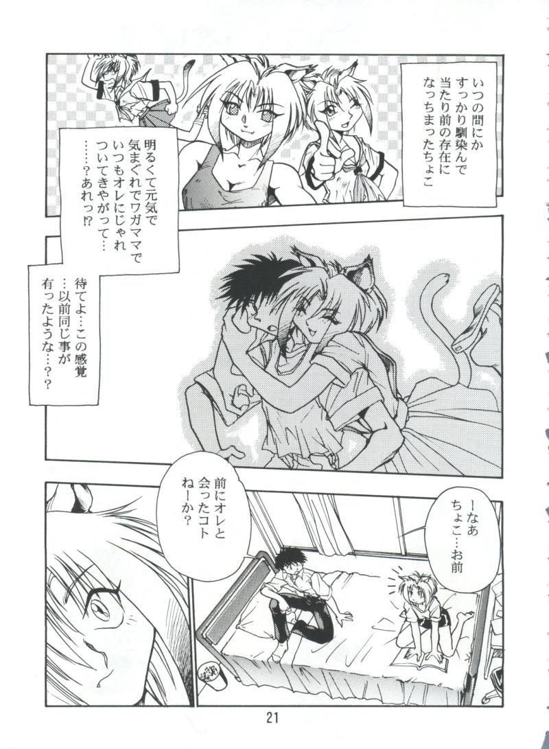 หน้า 20
