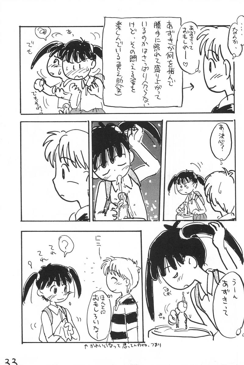 หน้า 33