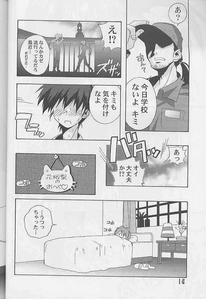 หน้า 13