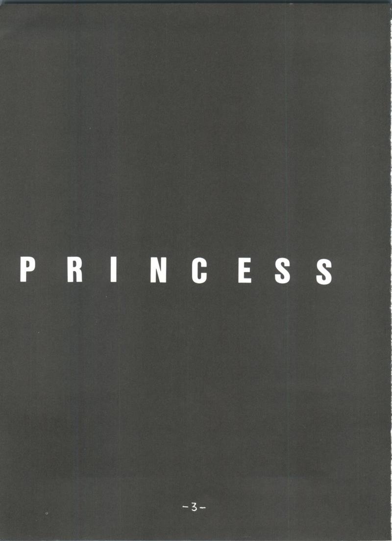 (C48) [Chanbara! (Kimuraya Izumi)] Princess (Various)