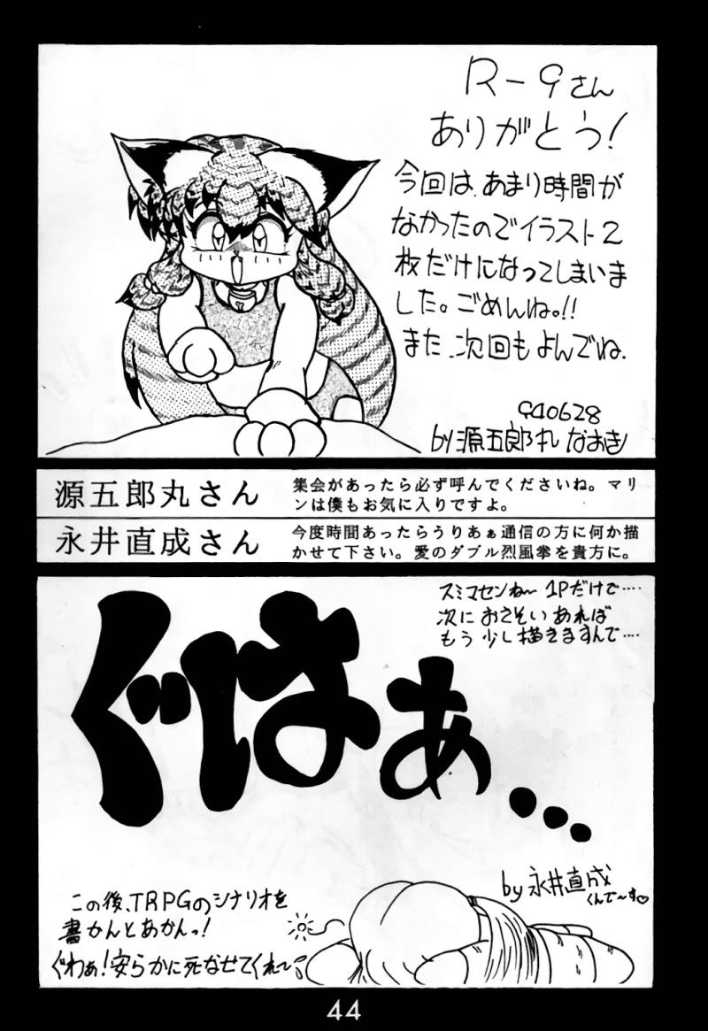 หน้า 43