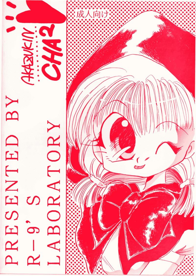 หน้า 46