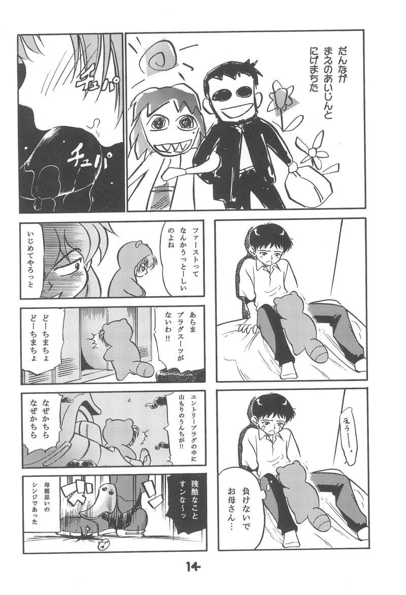 หน้า 13