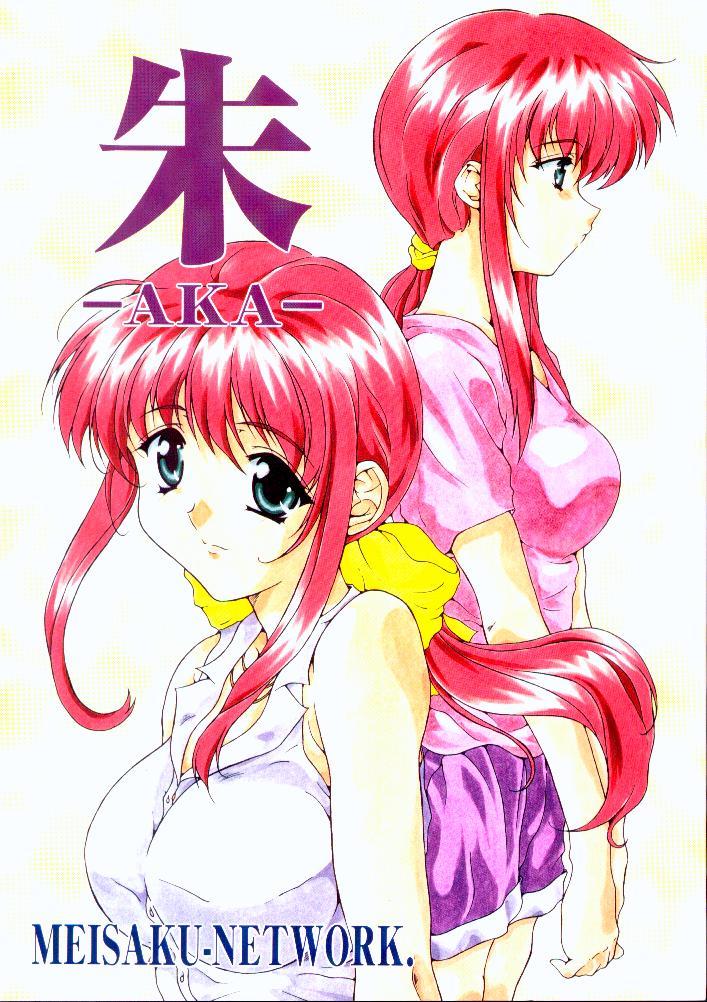 [Meisaku Network (Mizuno Makoto, Guranitto)] AKA