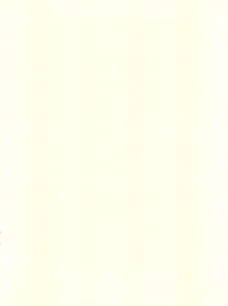 [Old School Academy (Amedama Akihito)] Retroli (Various)