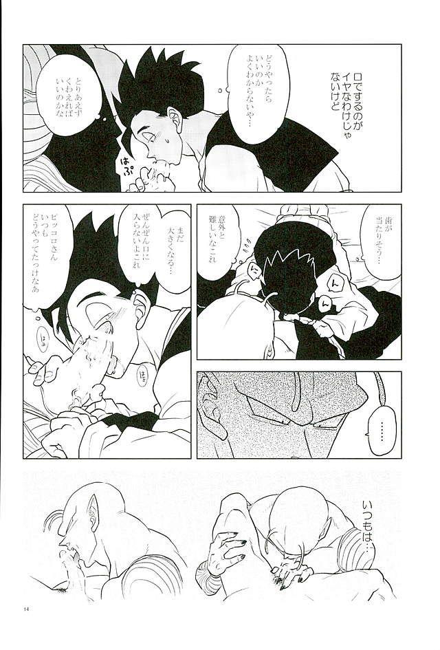 หน้า 13