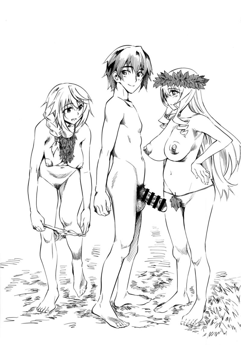 (C85) [Hi-per Pinch (clover)] N (IS <Infinite Stratos>) [Chinese] [final個人漢化]