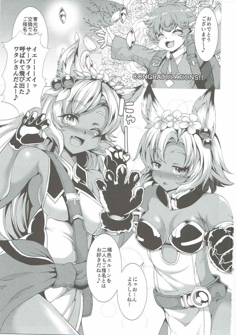 (COMIC1☆11) [Evo.R.B (Takayuki Hiyori)] Elune Ticket (Granblue Fantasy)