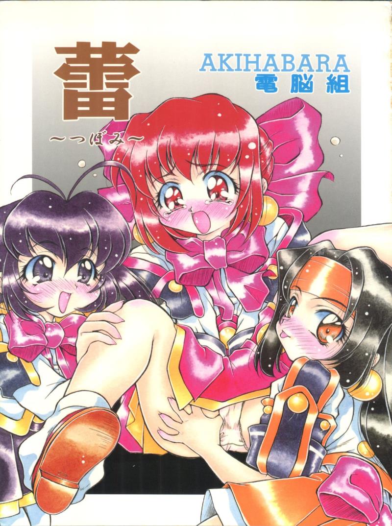 (C54) [Hime Club (Kirikaze)] Tsubomi (Cyber Team in Akihabara)