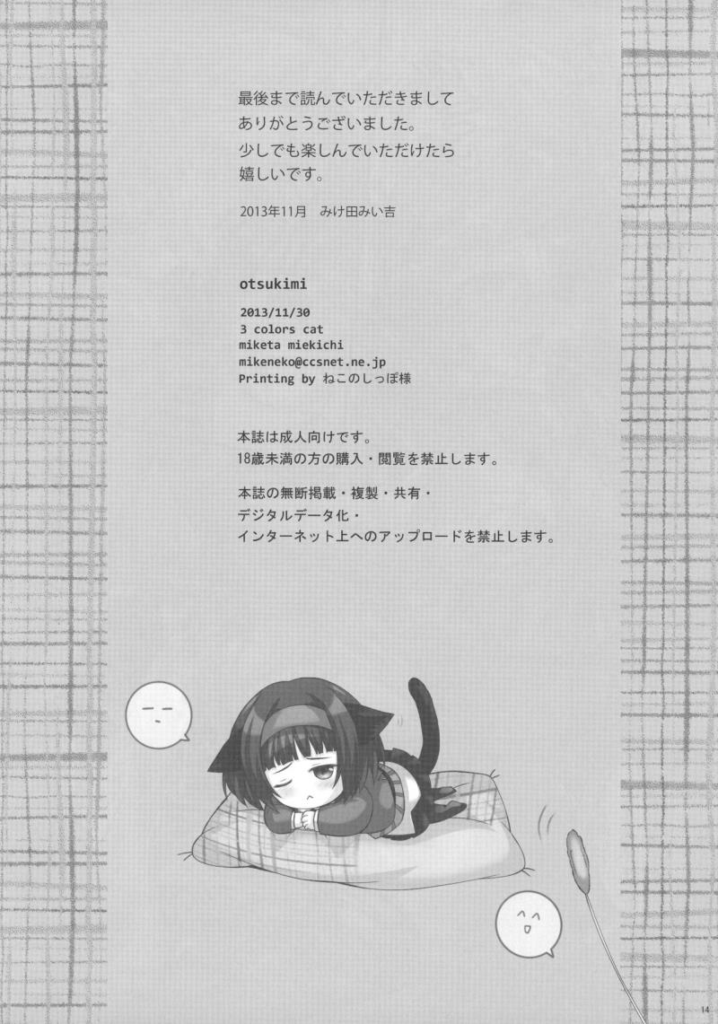 หน้า 13