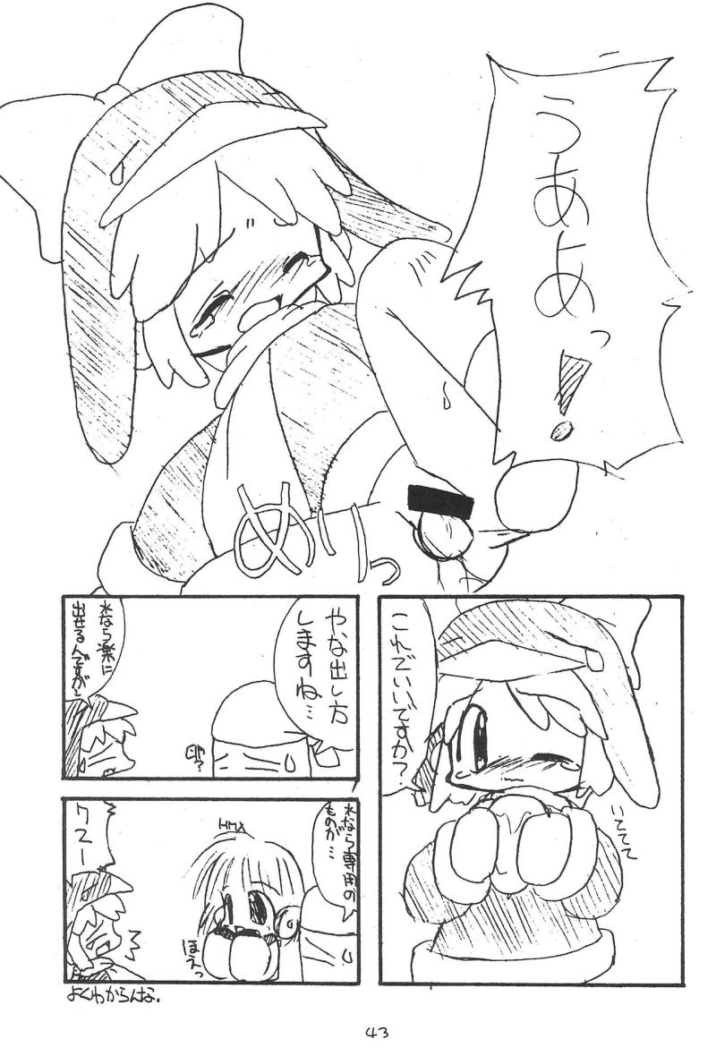 หน้า 43