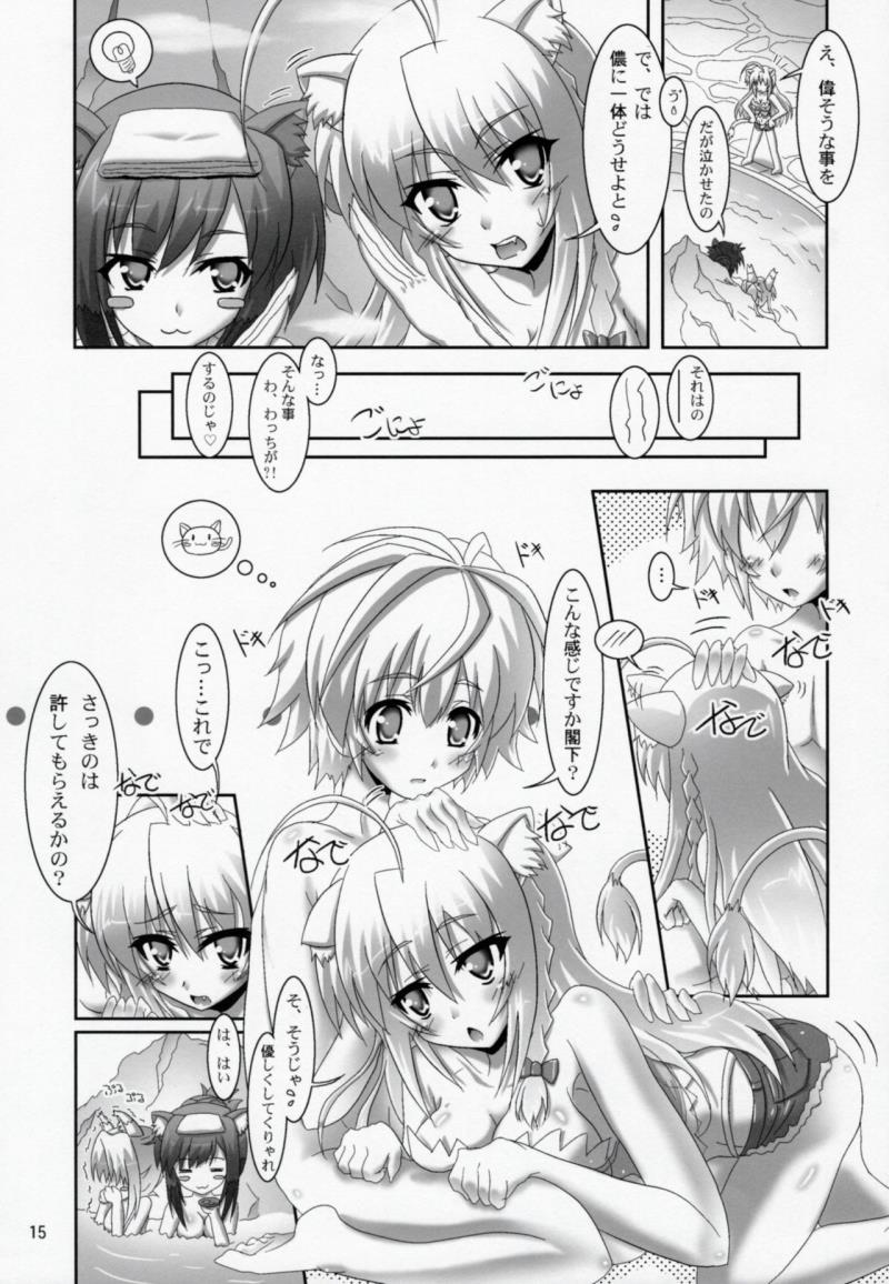 หน้า 14