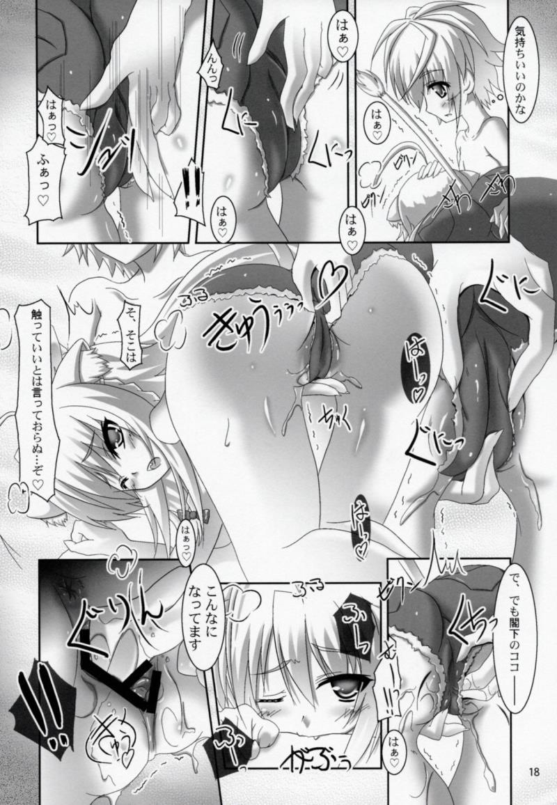 หน้า 17