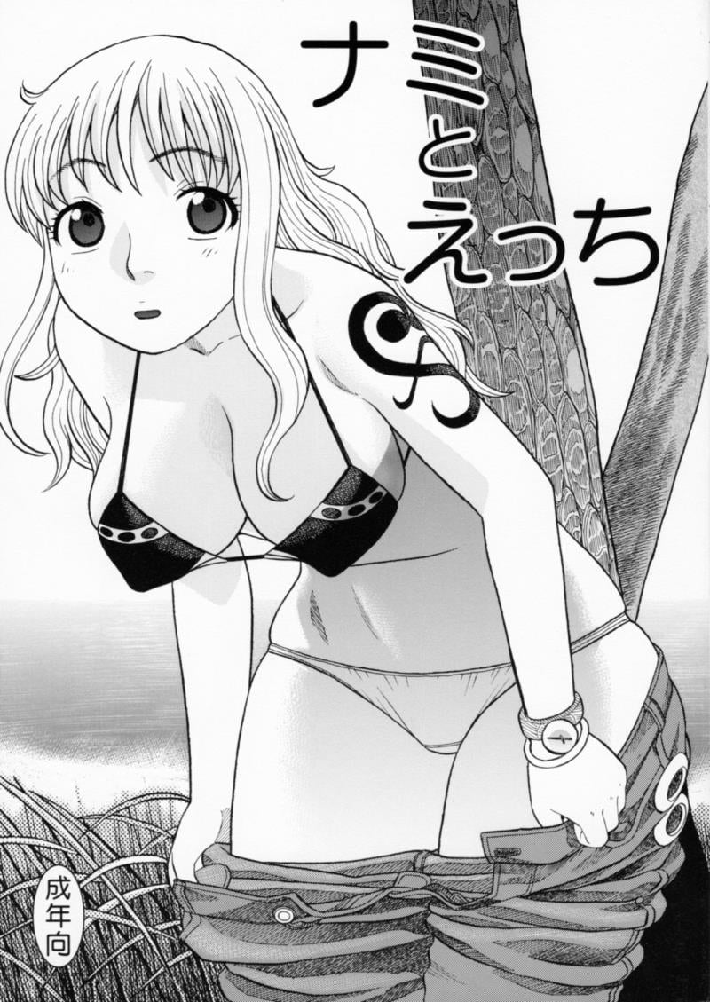 [Studio Wallaby (Niiruma Kenji)] Nami to Ecchi (One Piece)