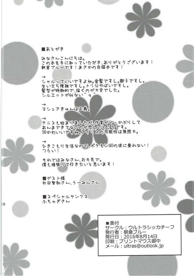 หน้า 17