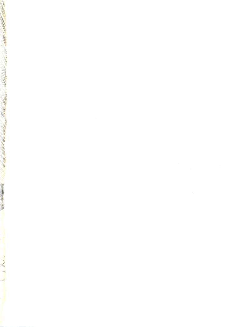 (C40) [Tororoimo (Various)] Tororoimo Vol. 13 (Various)