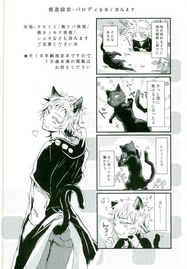 (Mekakushidan Katsudou Nisshi 3-satsume) [Kurobuchi (Nmi)] Usotsuki Neko (Kagerou Project)