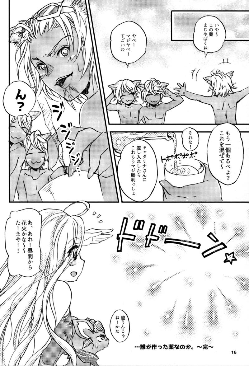 หน้า 15