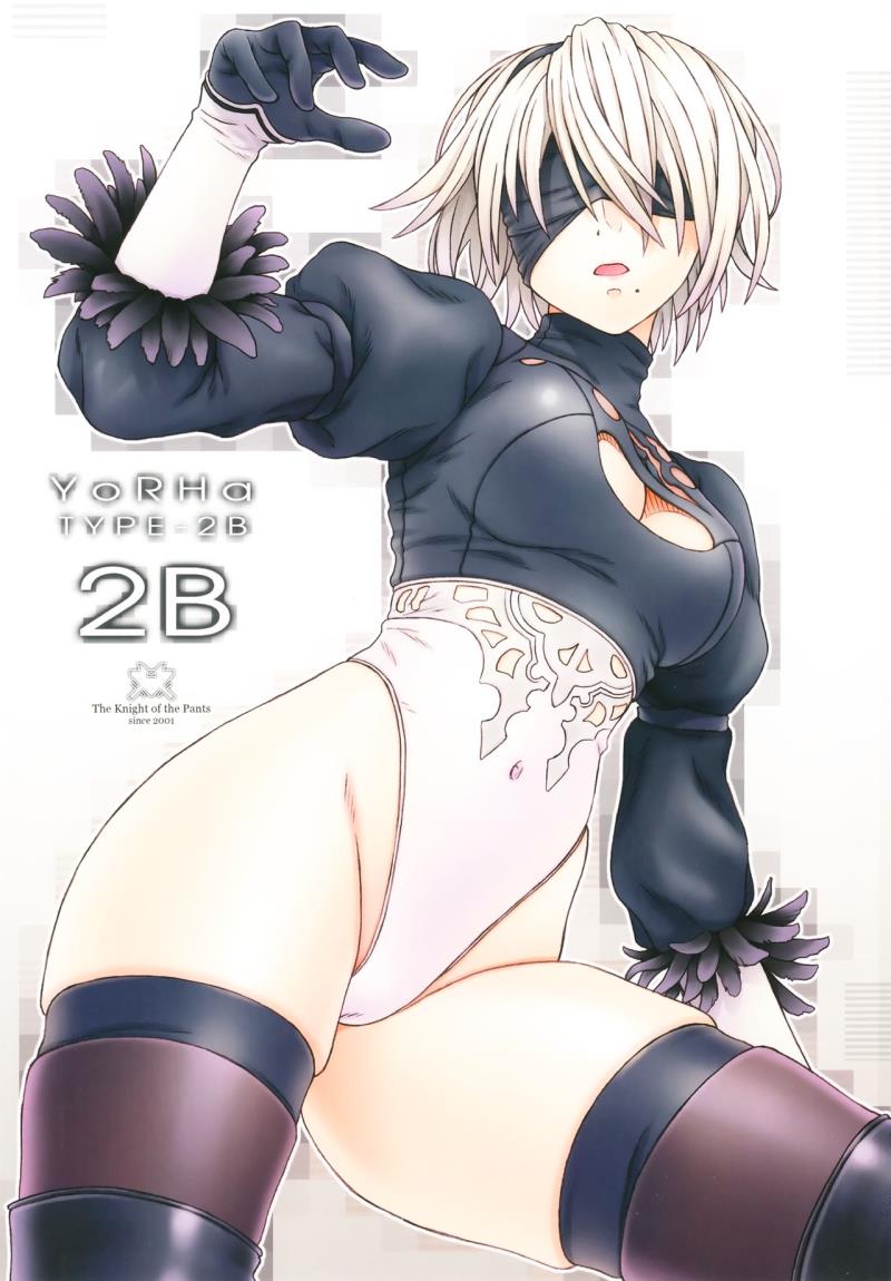 (C92) [The Knight of the Pants (Tsuji Takeshi)] AFFECTUS (NieR:Automata)
