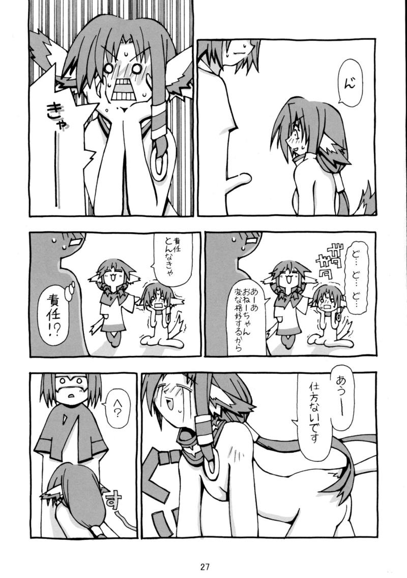 หน้า 29