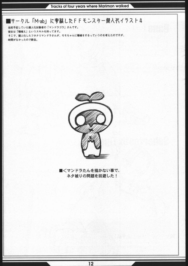 หน้า 11