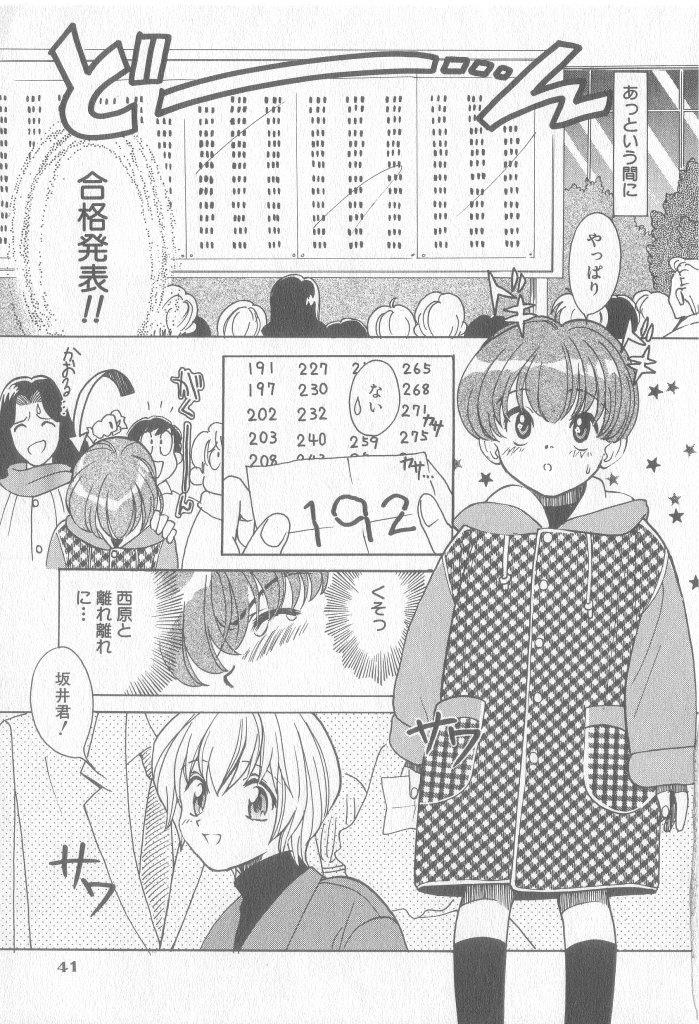 หน้า 42